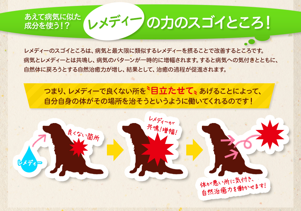 あえて病気に似た成分を使う！？レメディーの力のスゴイところ！